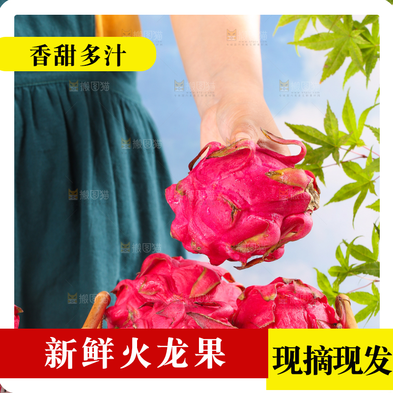 手里拿着火龙果