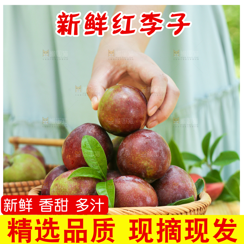 手里拿着芙蓉李