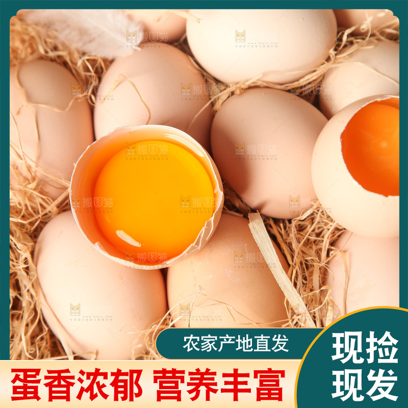 草堆上摆放着生鸡蛋