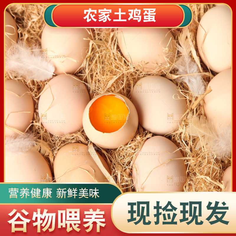 草堆上摆放着生鸡蛋