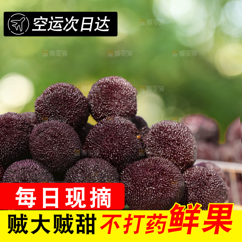 桌子上放着新鲜杨梅