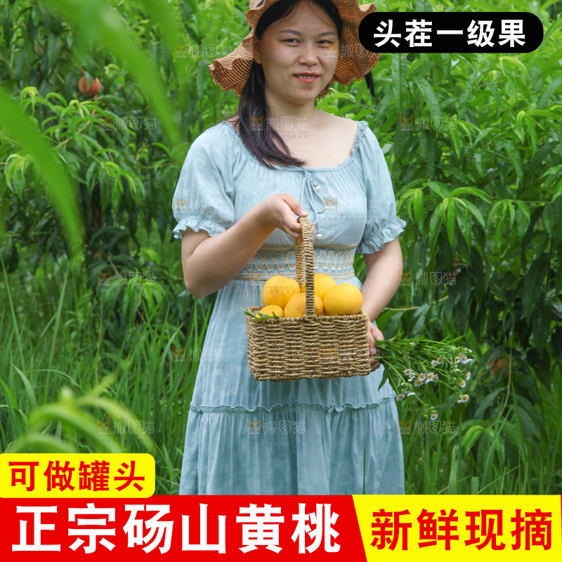 女孩手里提着一篮采摘的黄桃