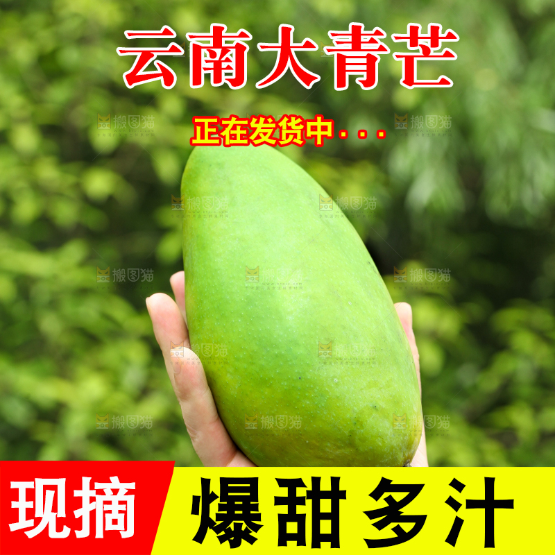 手里拿着大青芒