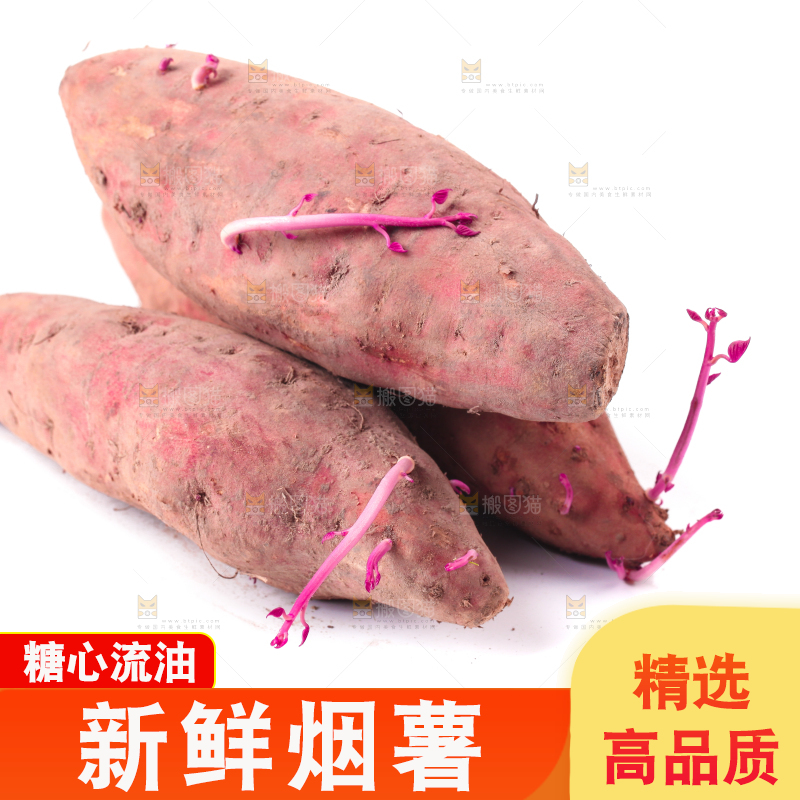 白底上摆放着红薯