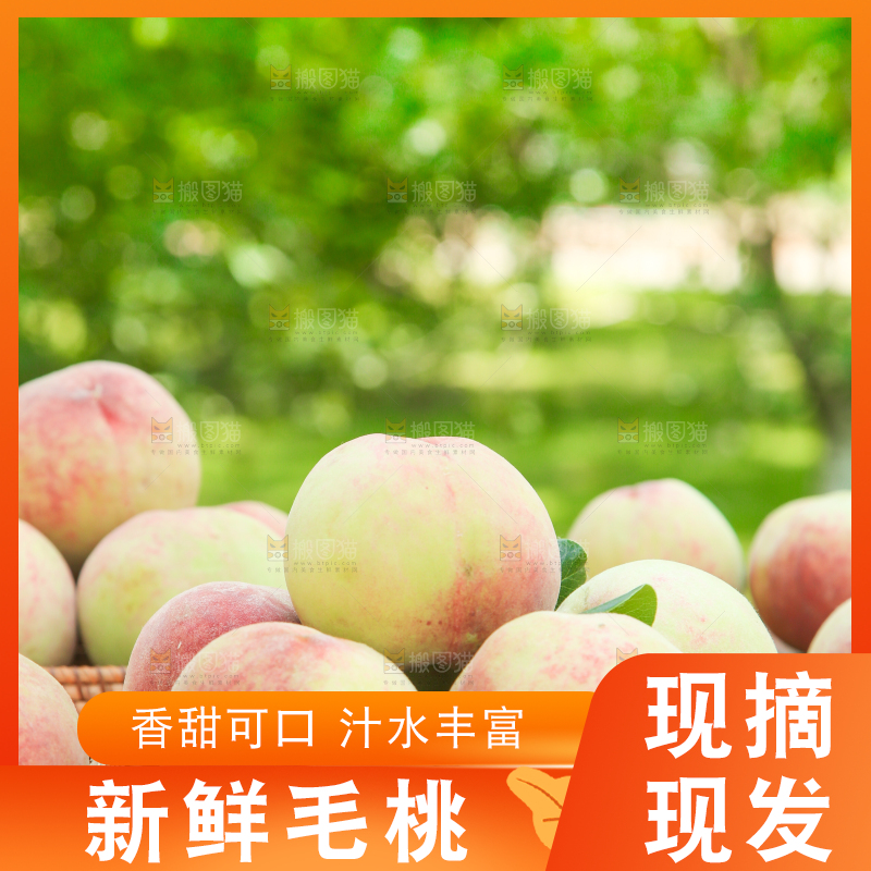 篮子里装着毛桃