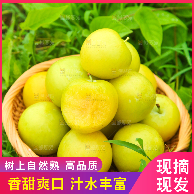 篮子里装着黄金奈李