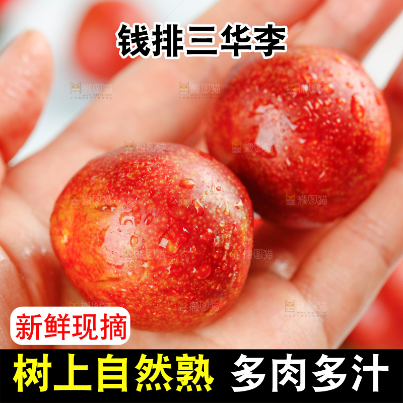 手里拿着红心李子