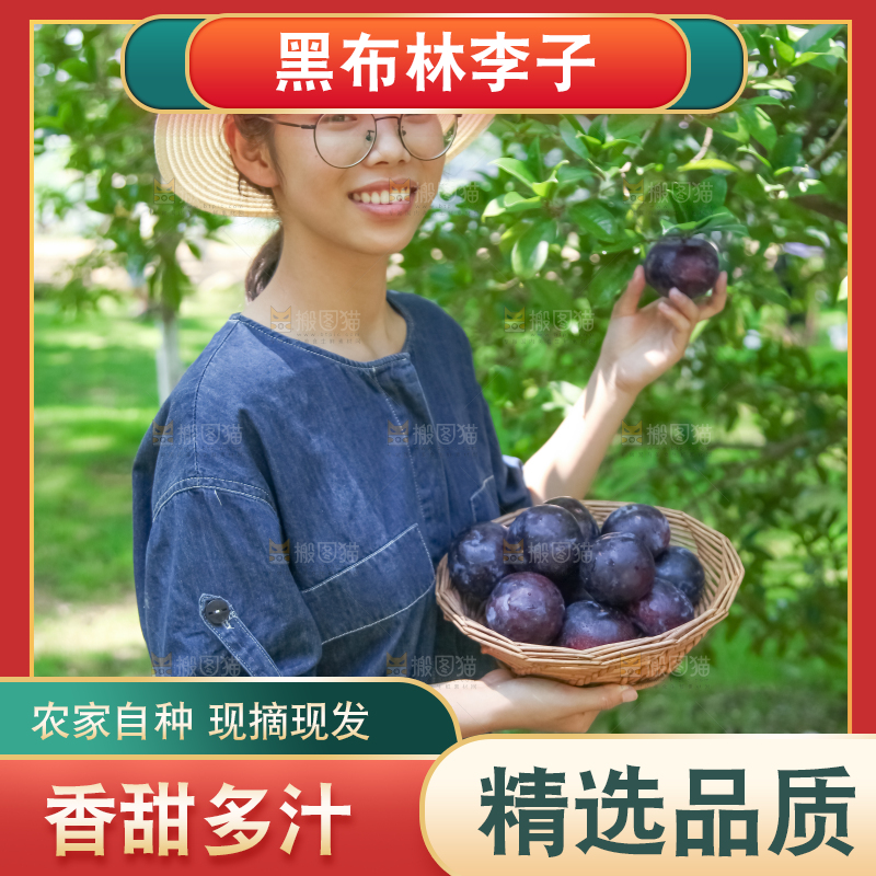 手里端着一篮黑布李