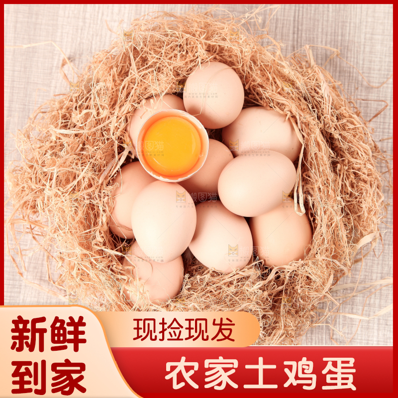 草堆上摆放着生鸡蛋