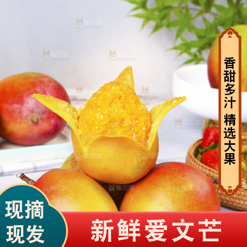 盘子里装着爱文芒