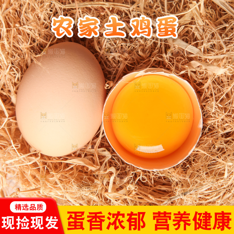 草堆上摆放着生鸡蛋