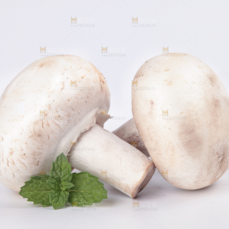 白底上摆放着白菇