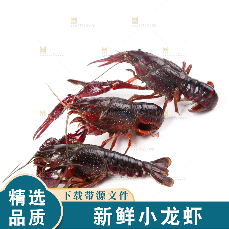 白底上摆放着小龙虾