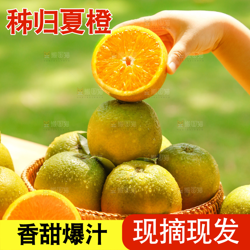 木底上摆放着湖北秭归夏橙