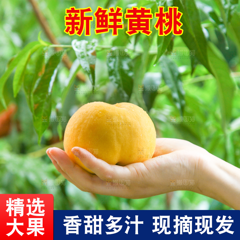 手里拿着黄皮黄桃