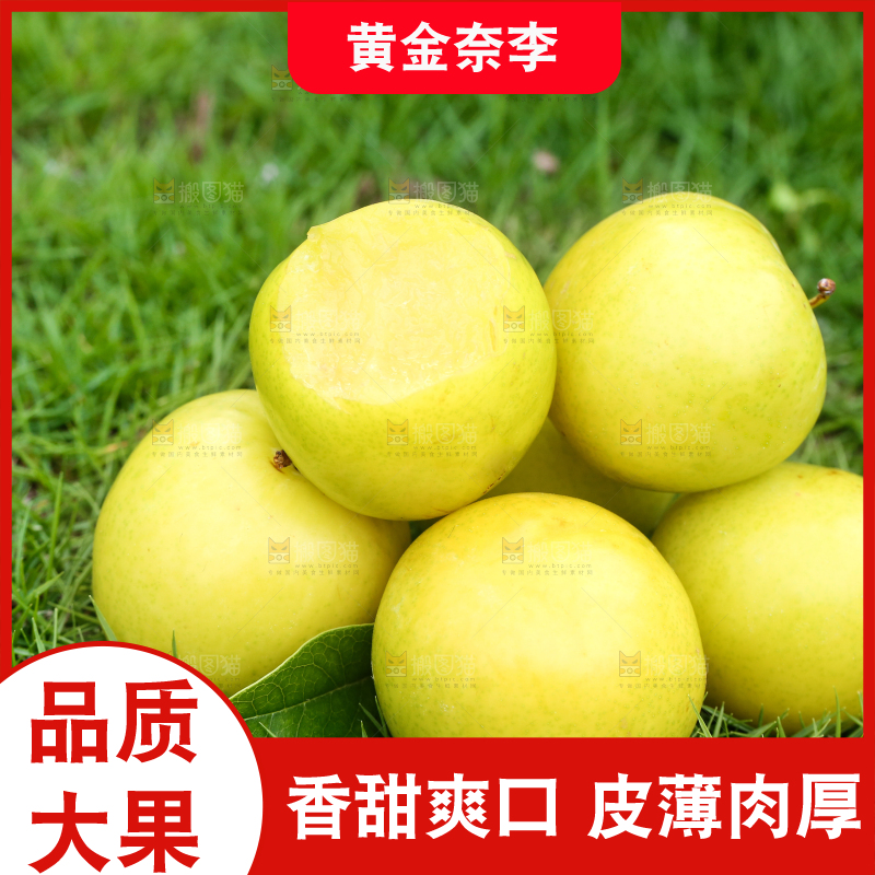 草地上摆放着黄金奈李