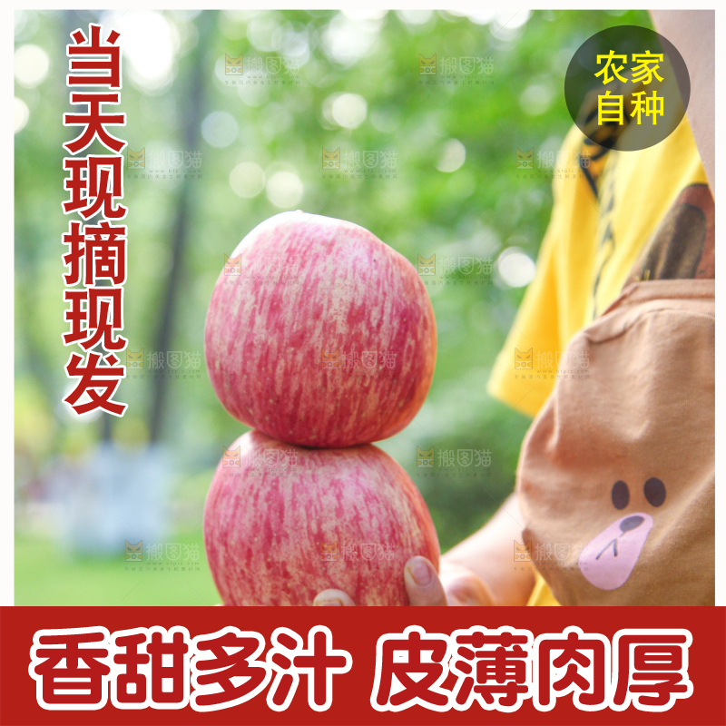 手里拿着红富士苹果