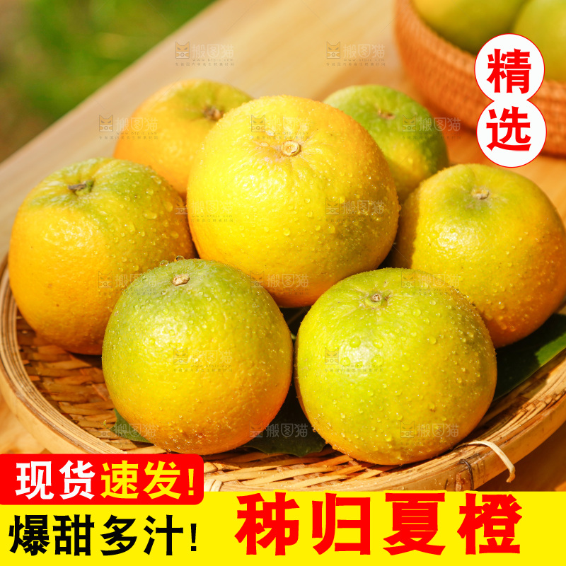 篮子里装着秭归夏橙