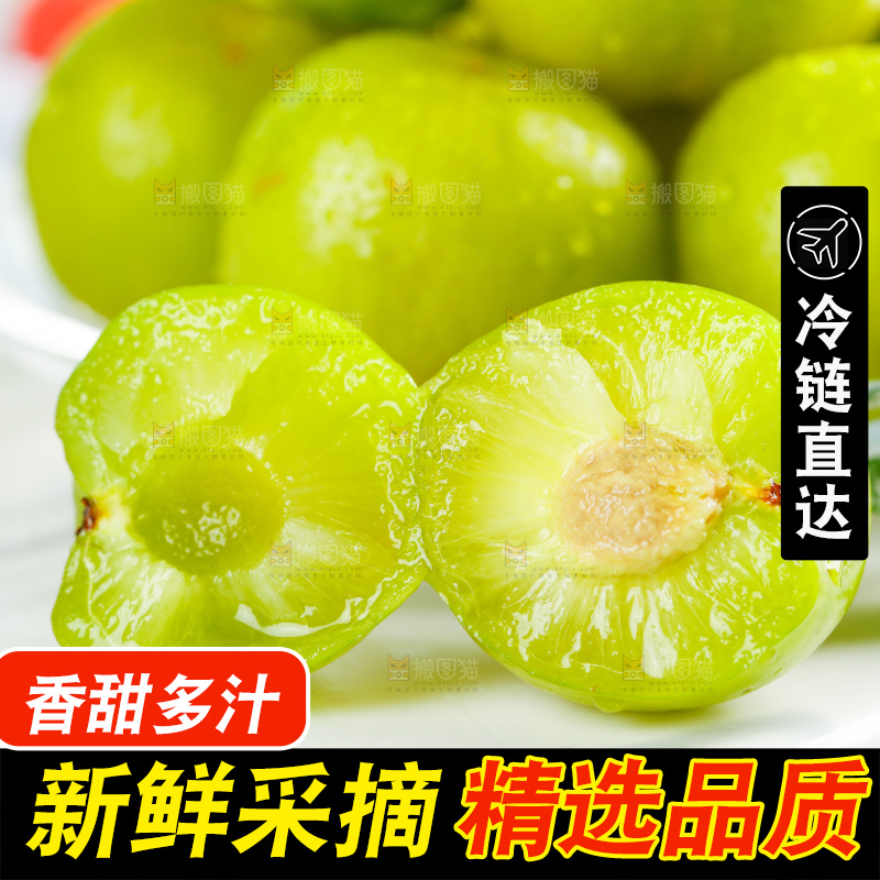 白底上摆放着脱骨李