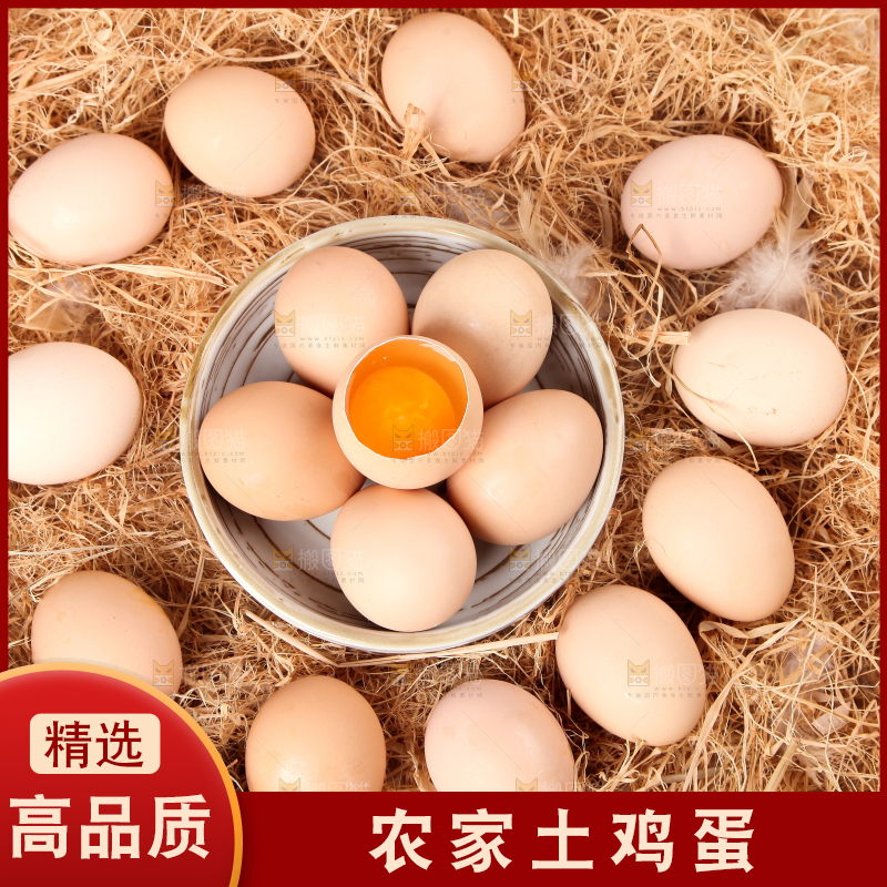草堆上摆放着散养土鸡蛋