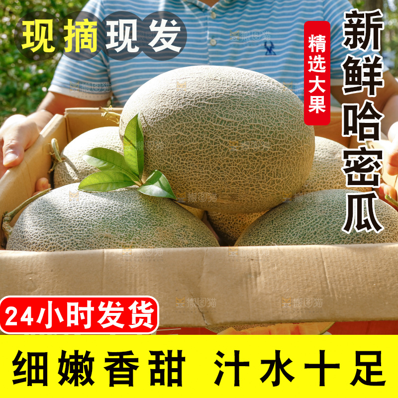 纸箱里装着网纹瓜