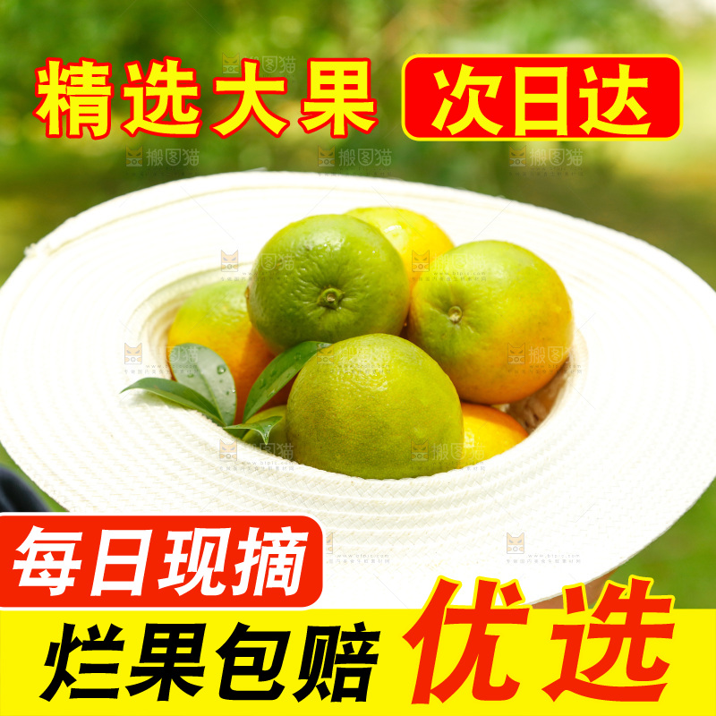 帽子里装着夏橙