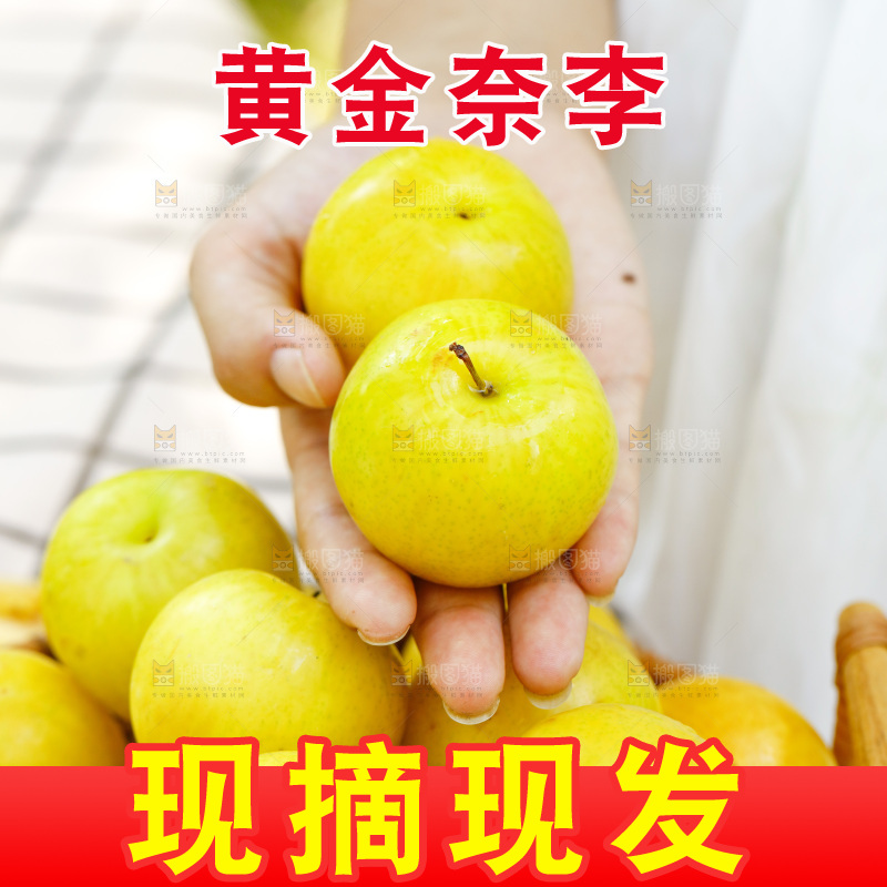 手里拿着新鲜黄金奈李