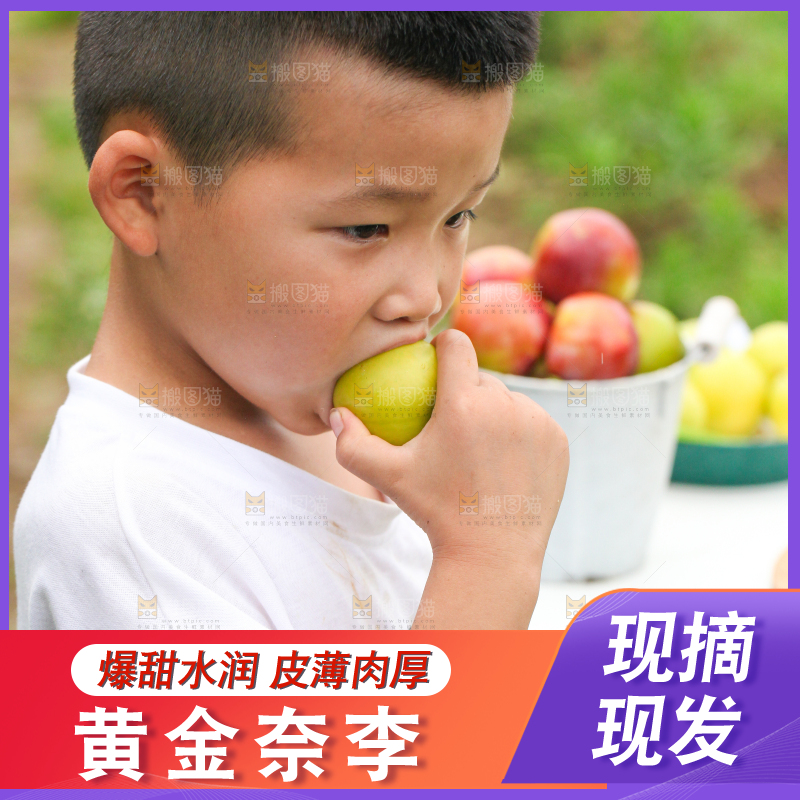 小男孩正在吃李子
