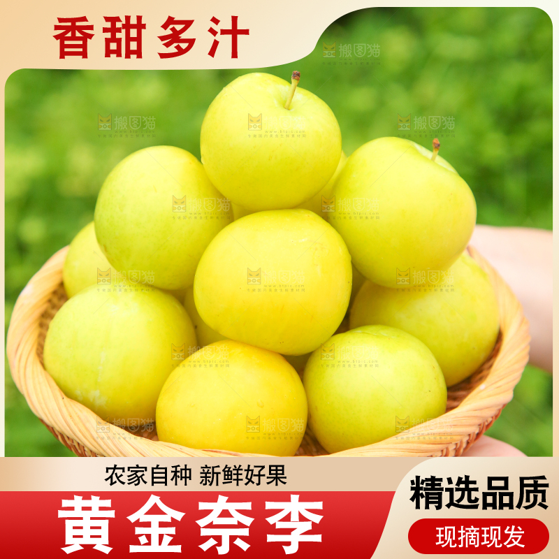 手里端着一篮九峰山黄金奈李
