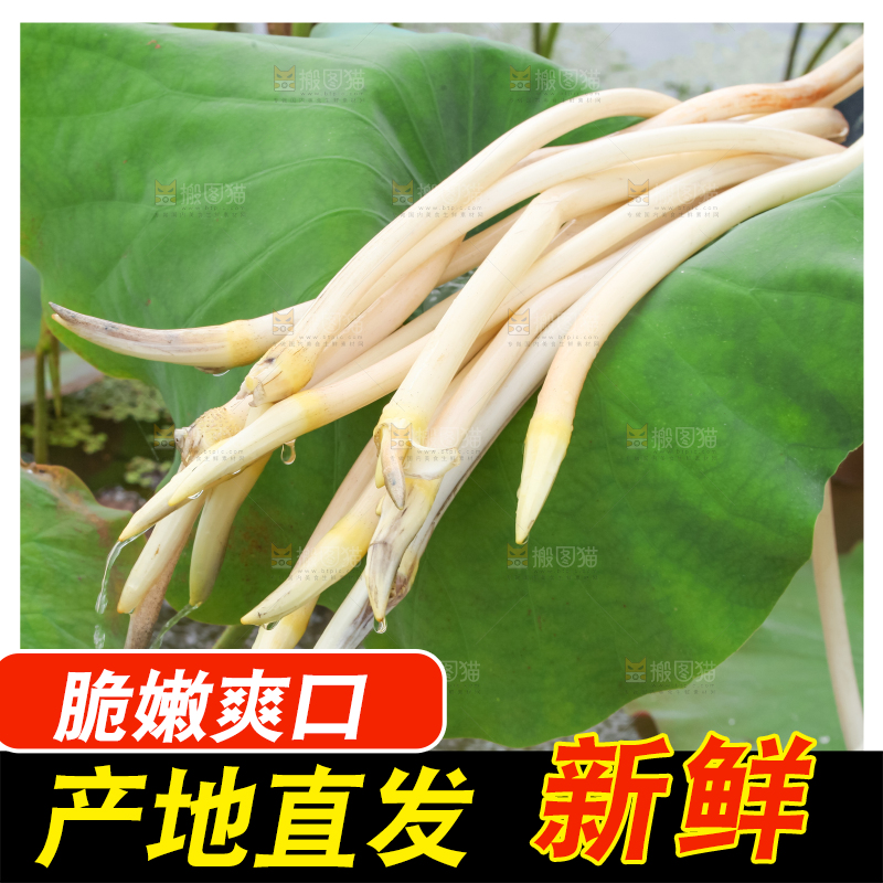 手里拿着新鲜藕带