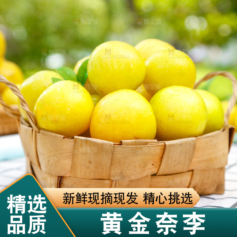 篮子里装着黄金奈李