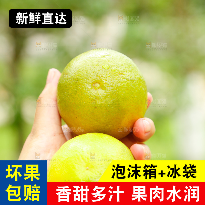 手里拿着广西桂林夏橙
