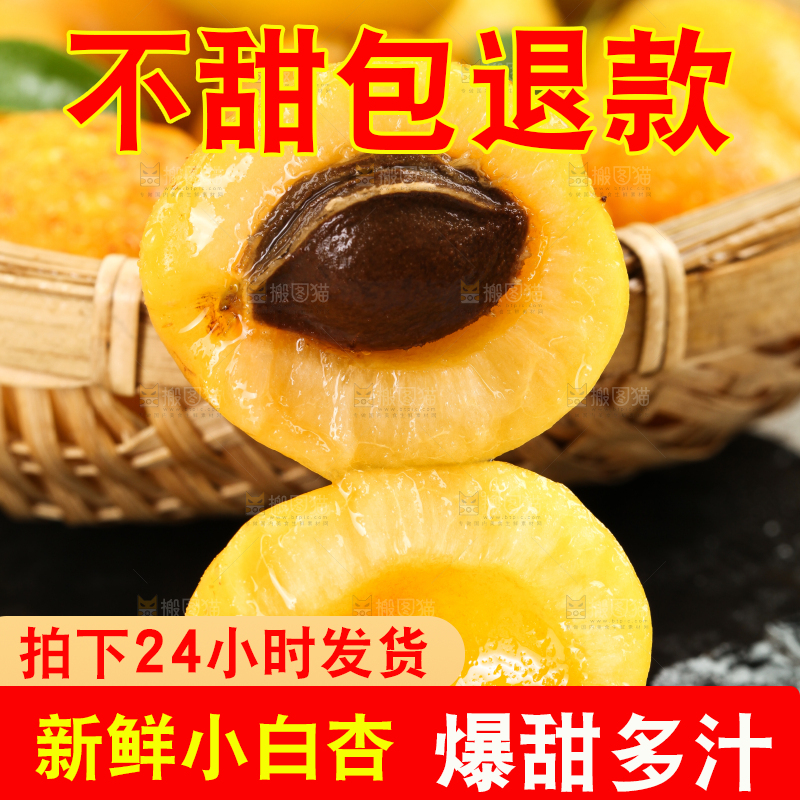 白底上摆放着山东小白杏