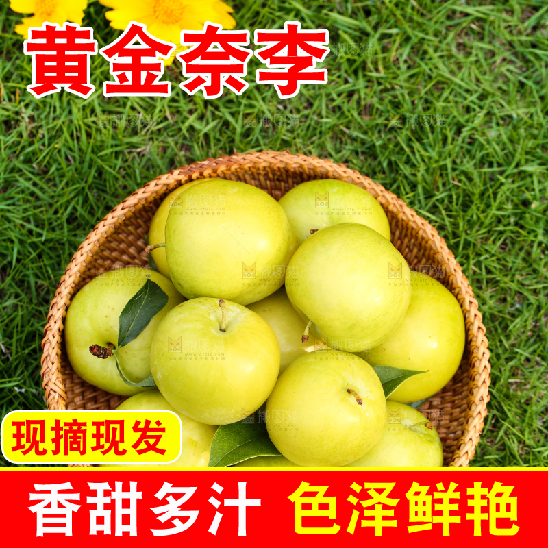 篮子里装着黄金奈李