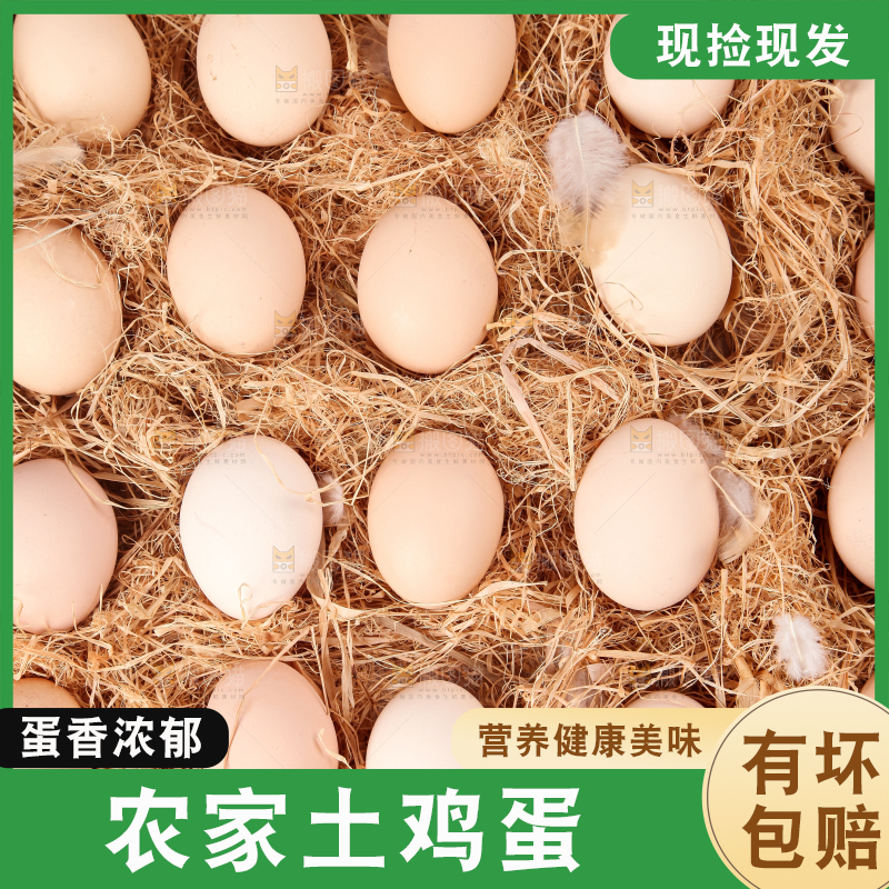 草堆上摆放着生鸡蛋