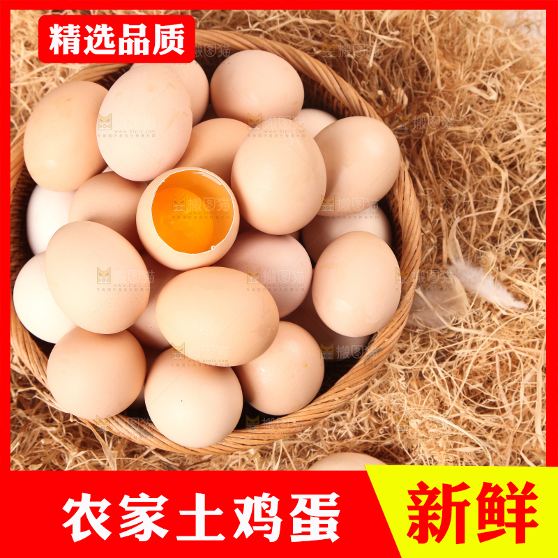 草堆上摆放着散养土鸡蛋