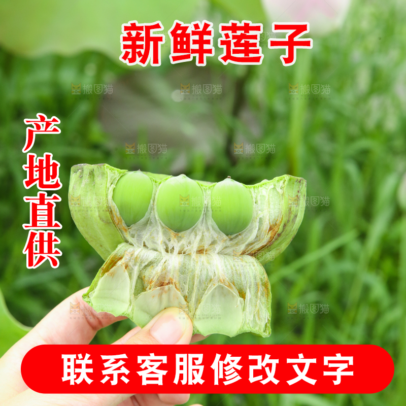 手里拿着莲子