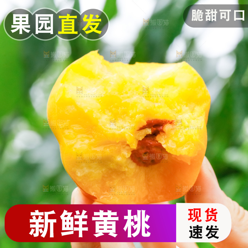 手里拿着新鲜黄桃