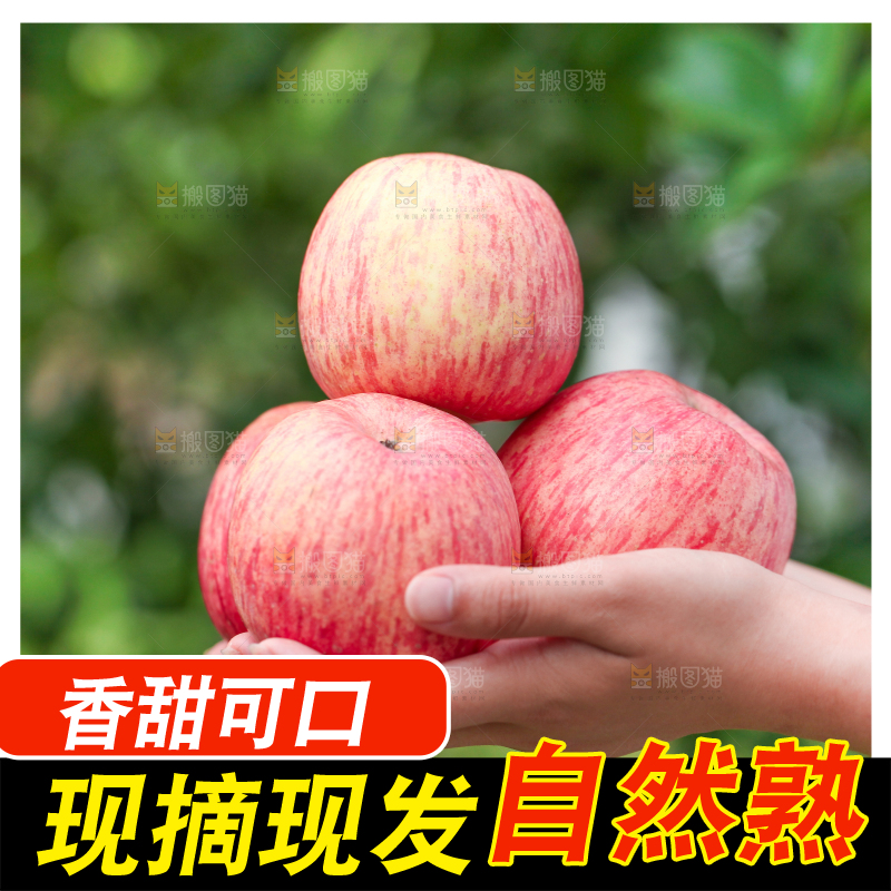 手里拿着红富士苹果