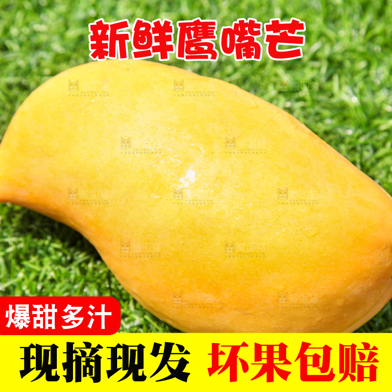 绿草地上摆放着鹰嘴芒果