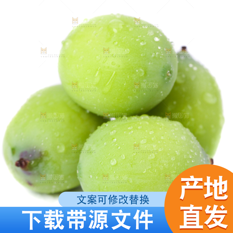 白底上摆放着嫩莲子