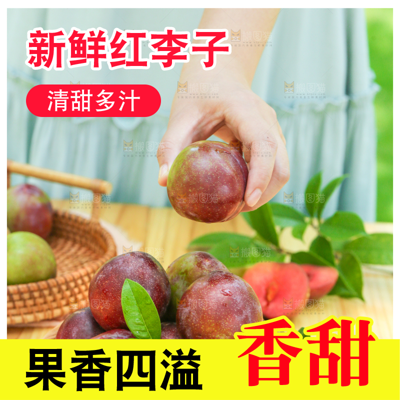 手里拿着芙蓉李