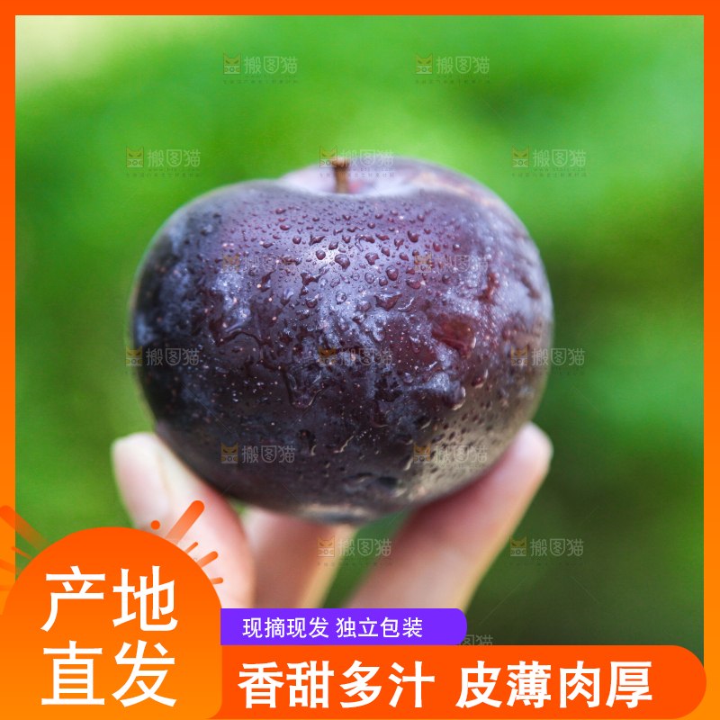 手里拿着黑布林