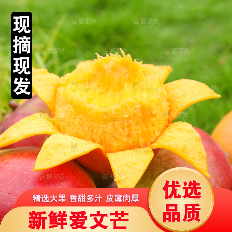 绿草地上摆放着爱文芒