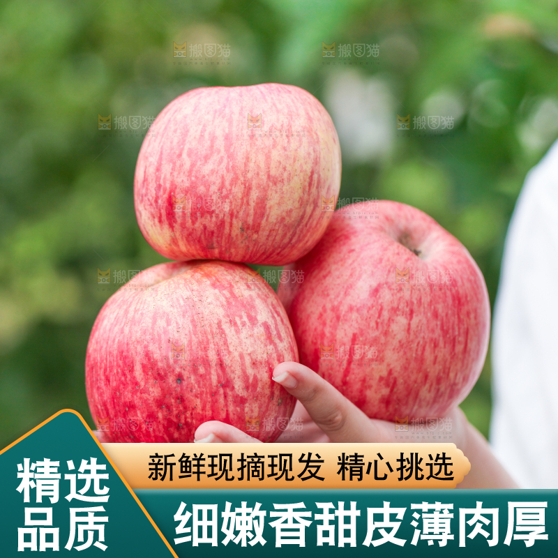 手里拿着红富士苹果
