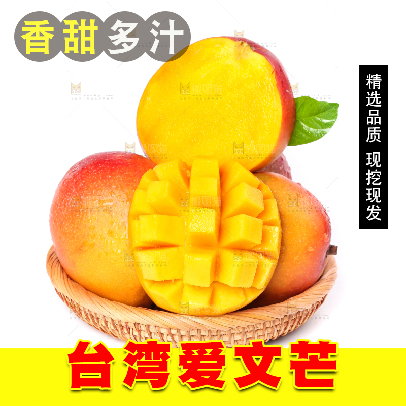 篮子里装着爱文芒