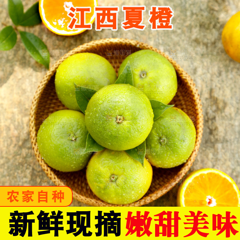 篮子里装着秭归夏橙