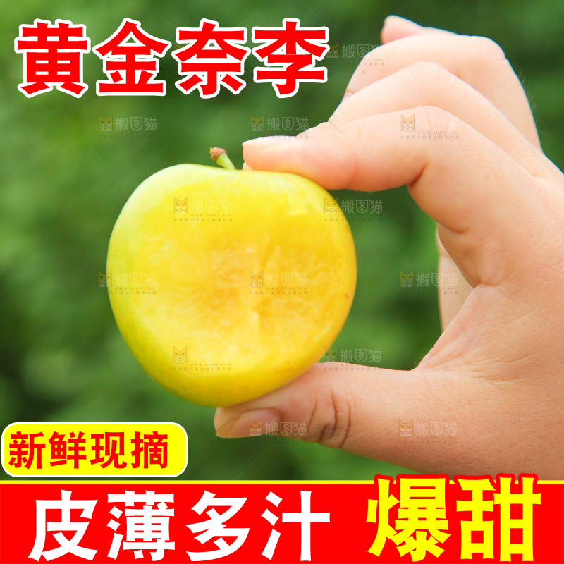 手里拿着四川蜂糖李子