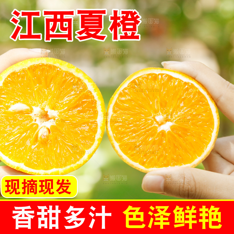 手里拿着新鲜夏橙