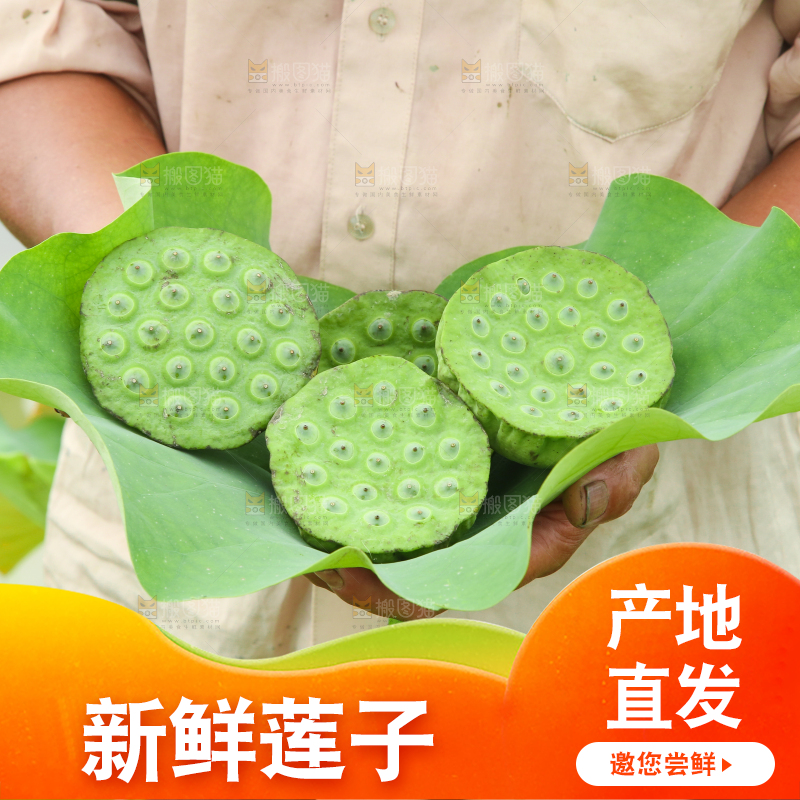 手里拿着莲蓬子